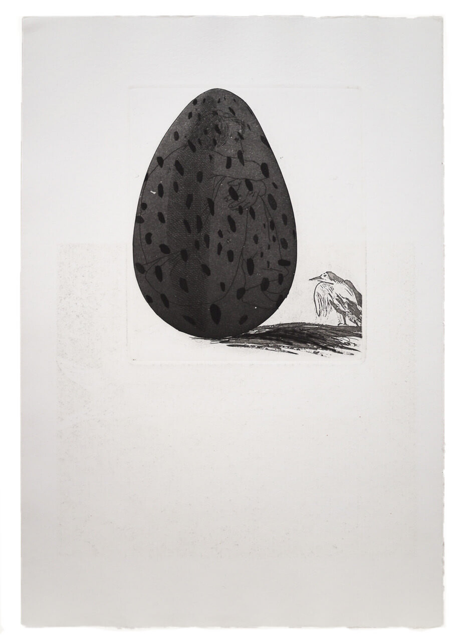 HOCKNEY Grimm The Boy Hidden in an Egg